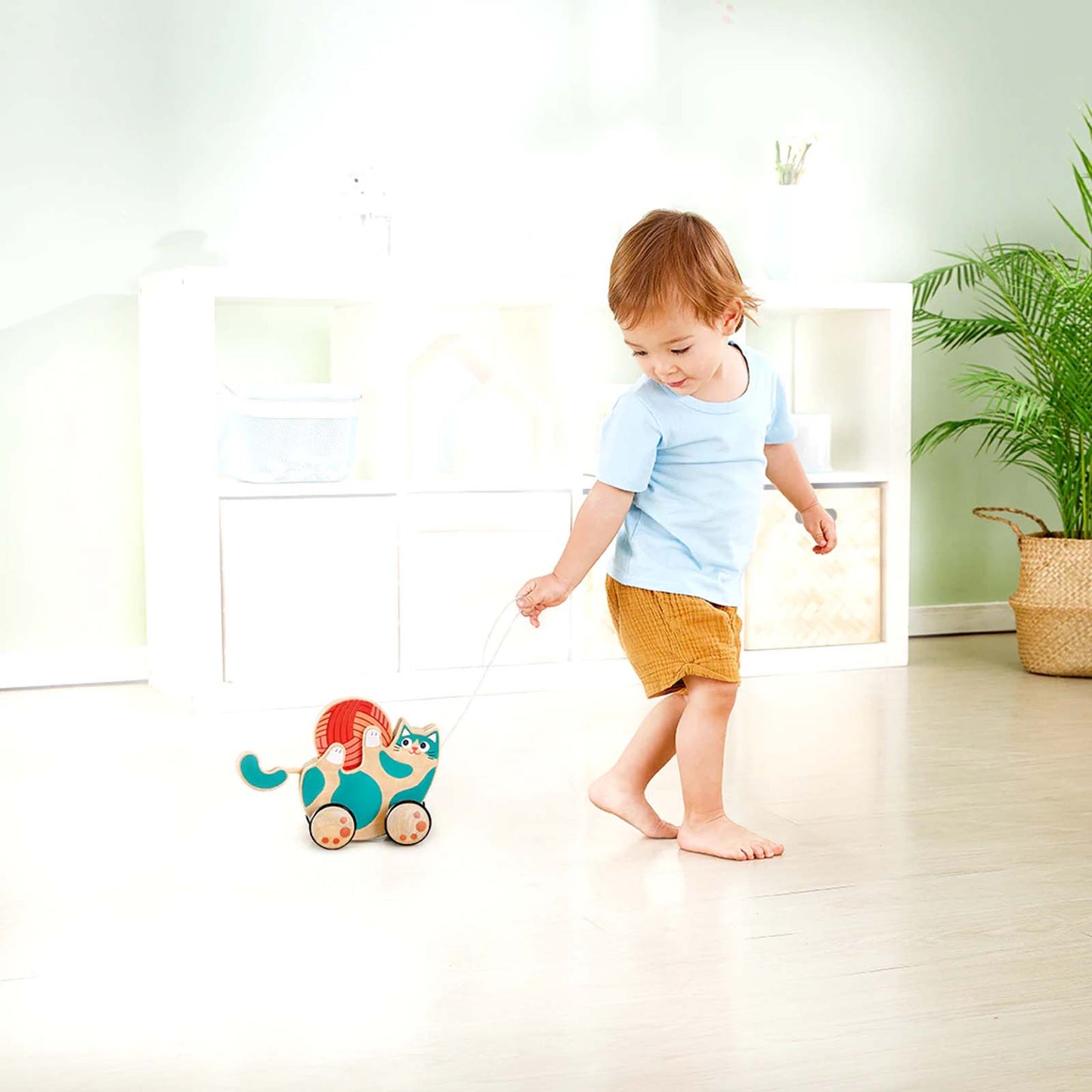 Hape - Roll & Rattle Kitten