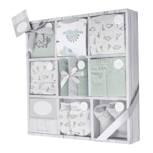 MOTHER'S CHOICE 10-Pc Baby Bodysuit, T-shirt, Pants, Hat, Mittens, Bib, Socks & Wash Cloths Gift Box Set (Green Dino)