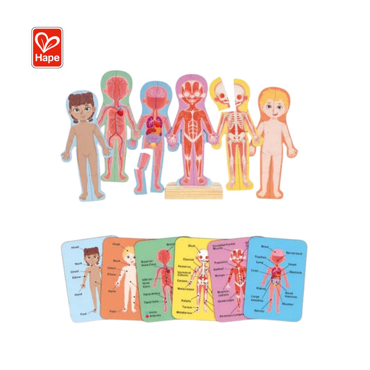 Hape - Human Body Magnetic Puzzle