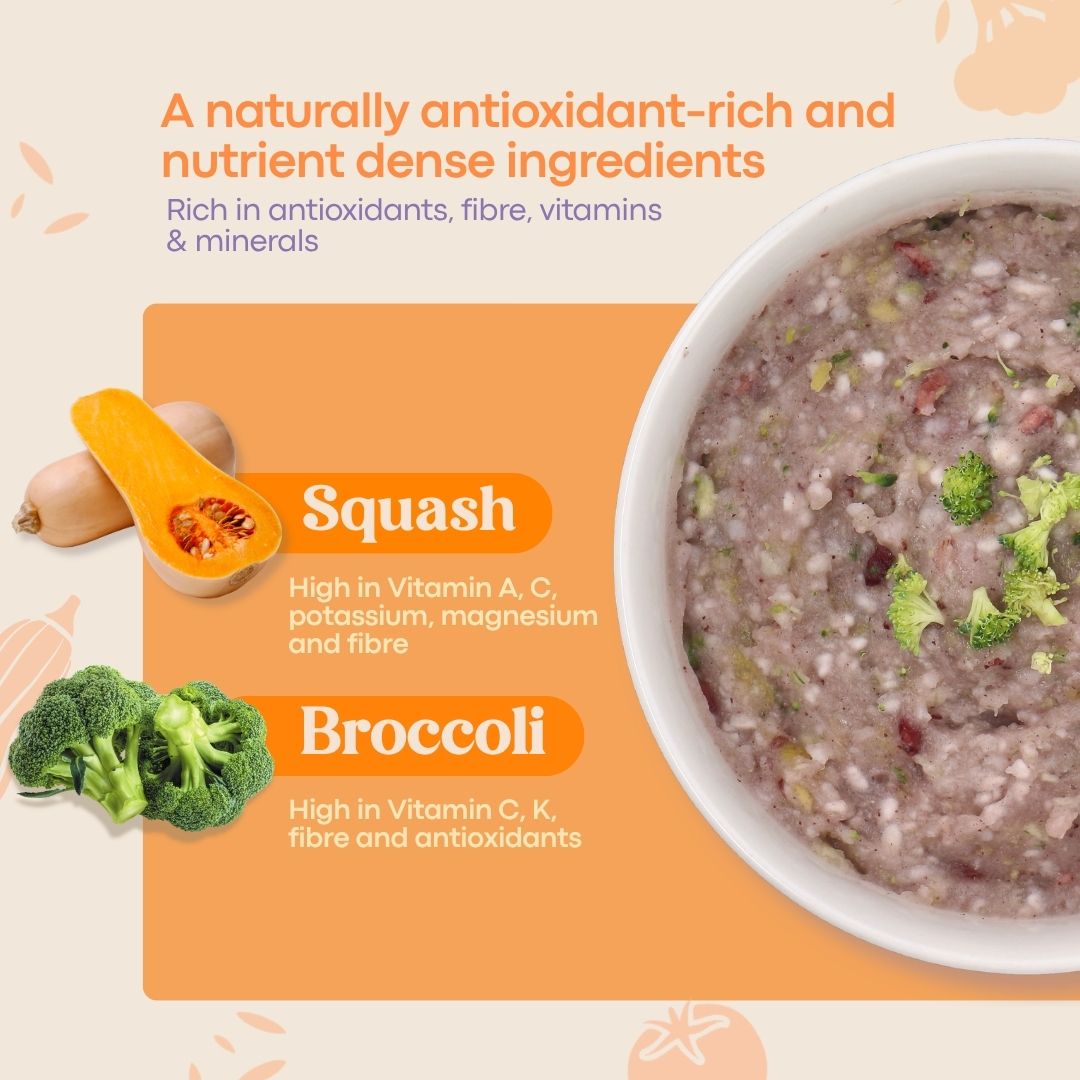 AVIA - Berry Quick Porridge Butternut Squash and Broccoli (10g x 2)