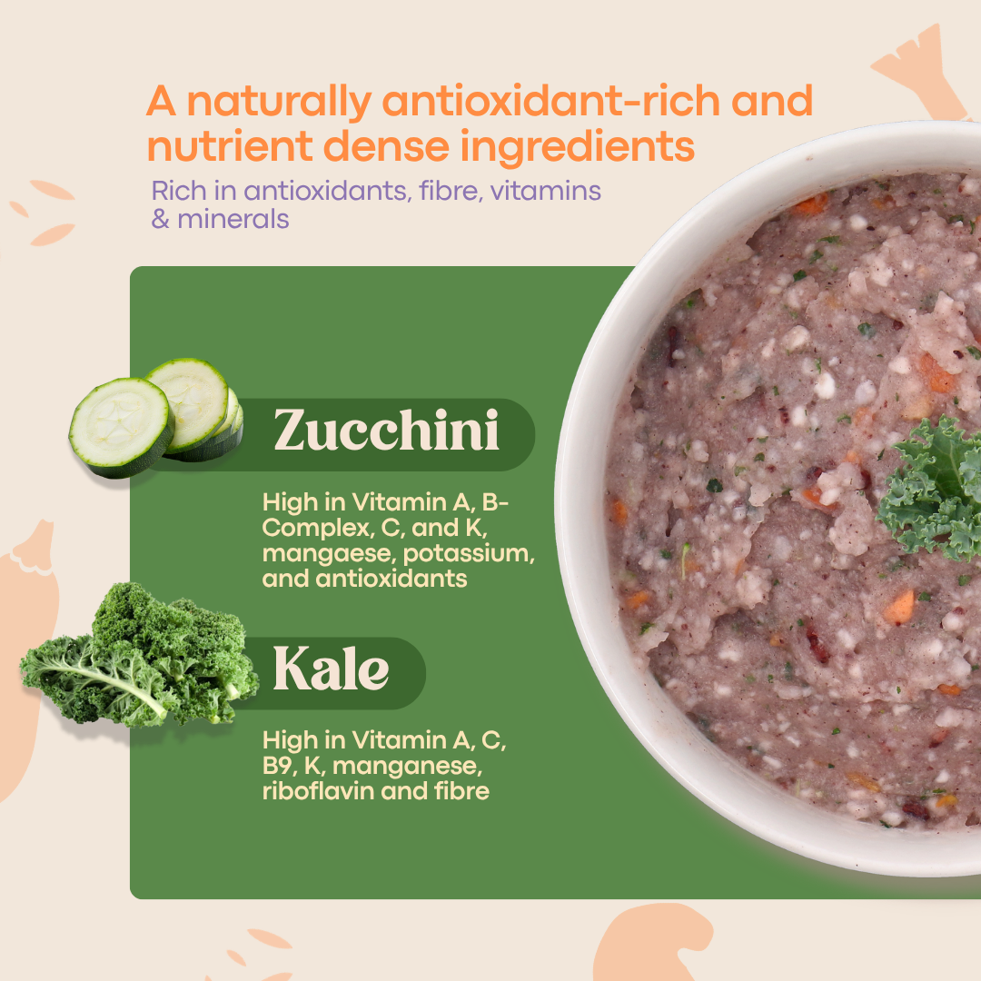 AVIA - Berry Quick Porridge Zucchini and Kale (10g x 2)