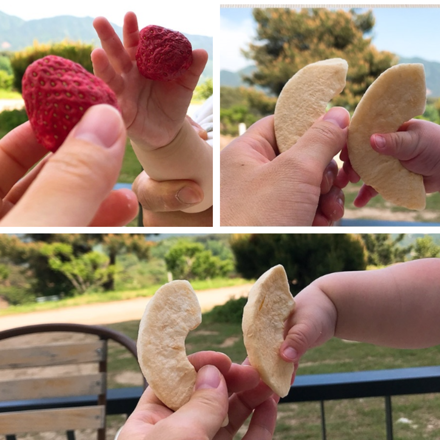 Ecomommeal - Freeze-Dried Fruit Chip (Trio Delight) 10g