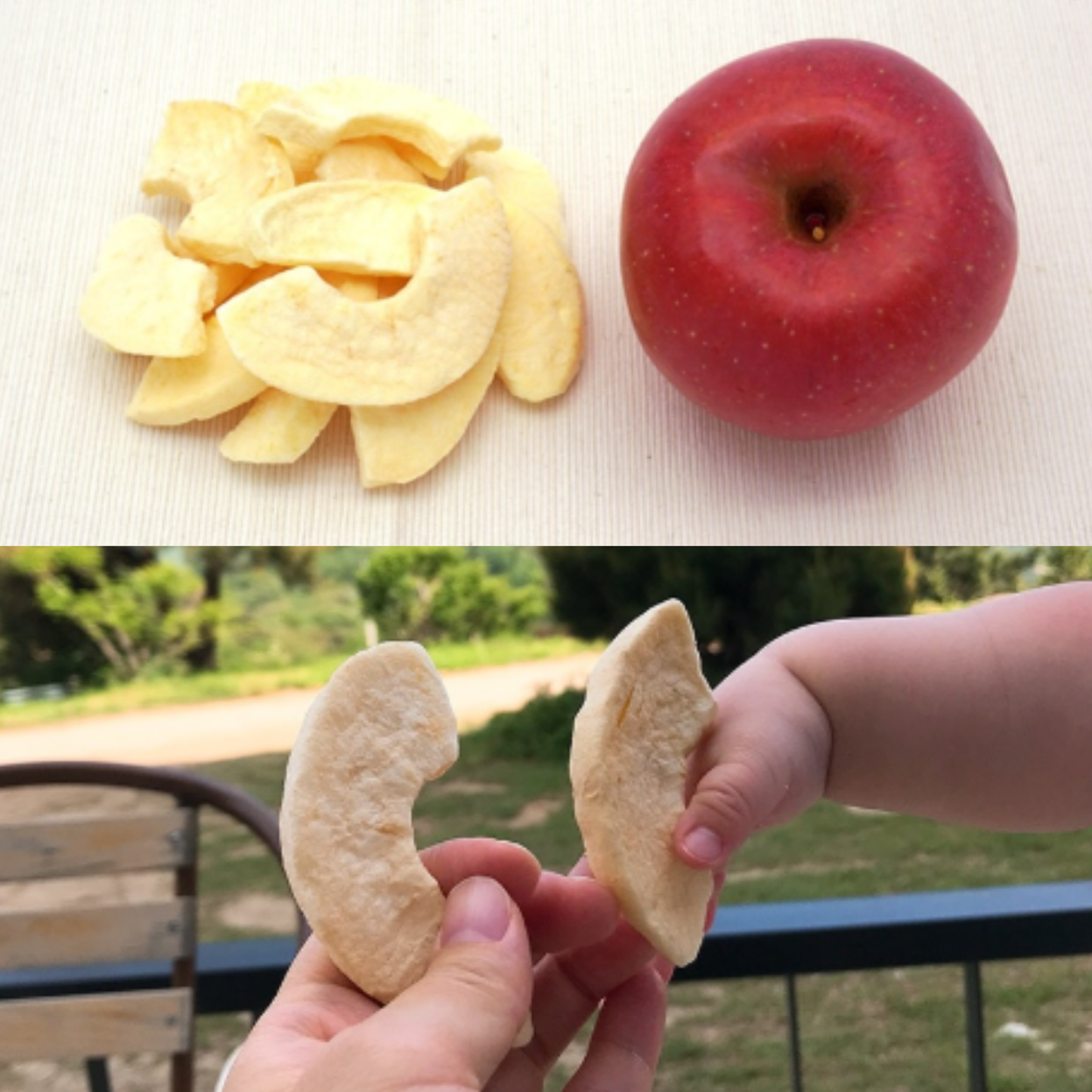 Ecomommeal - Freeze-Dried Fruit Chip (Korean Apple) 10g
