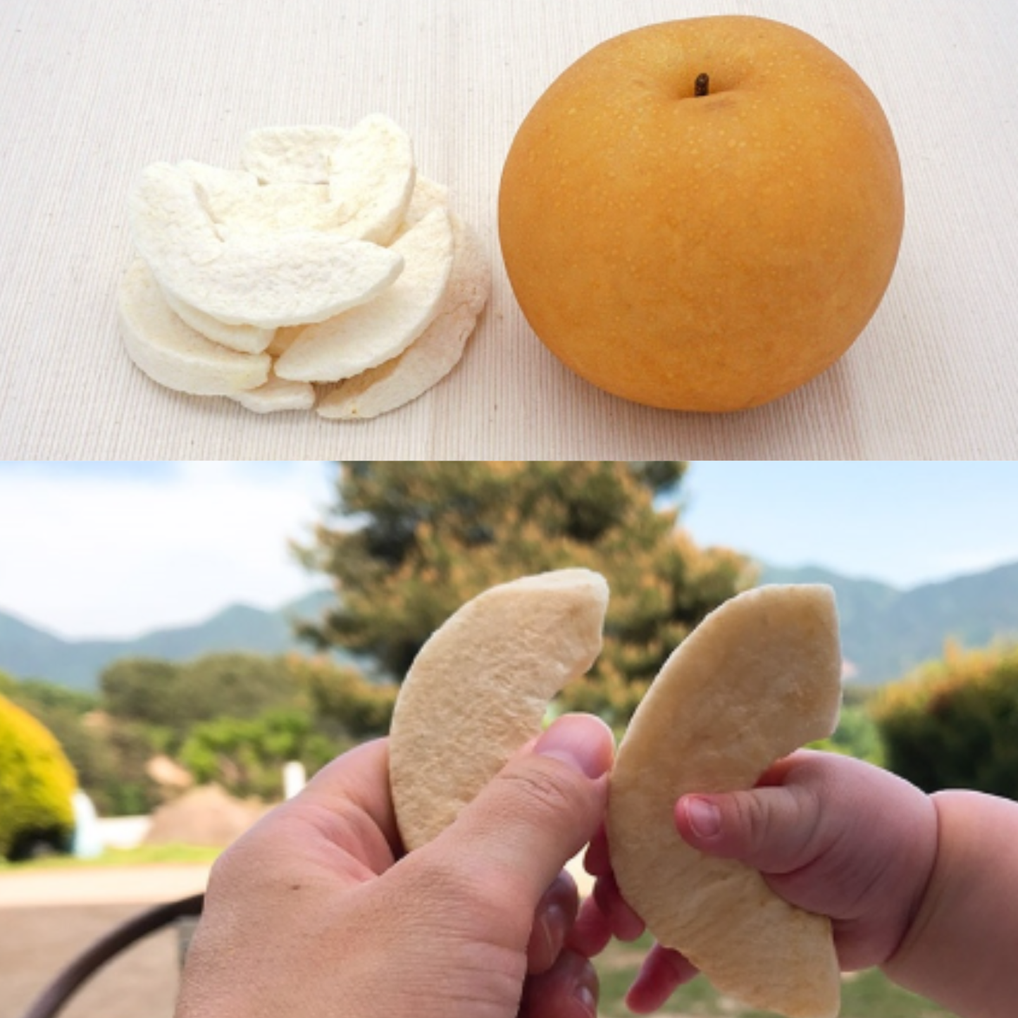 Ecomommeal - Freeze-Dried Fruit Chip (Korean Pear) 10g